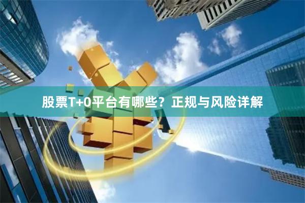 股票T+0平台有哪些？正规与风险详解